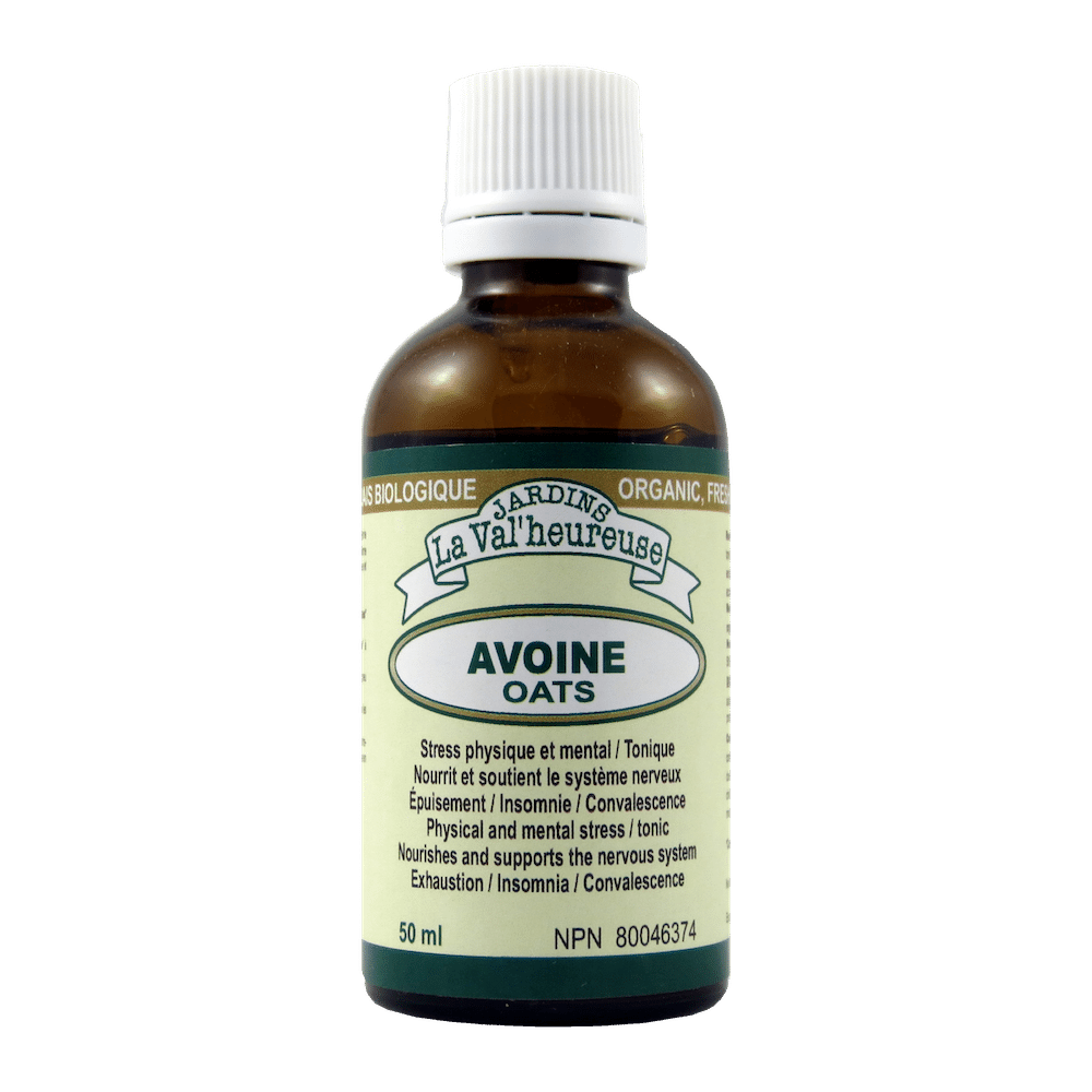 Avoine Image