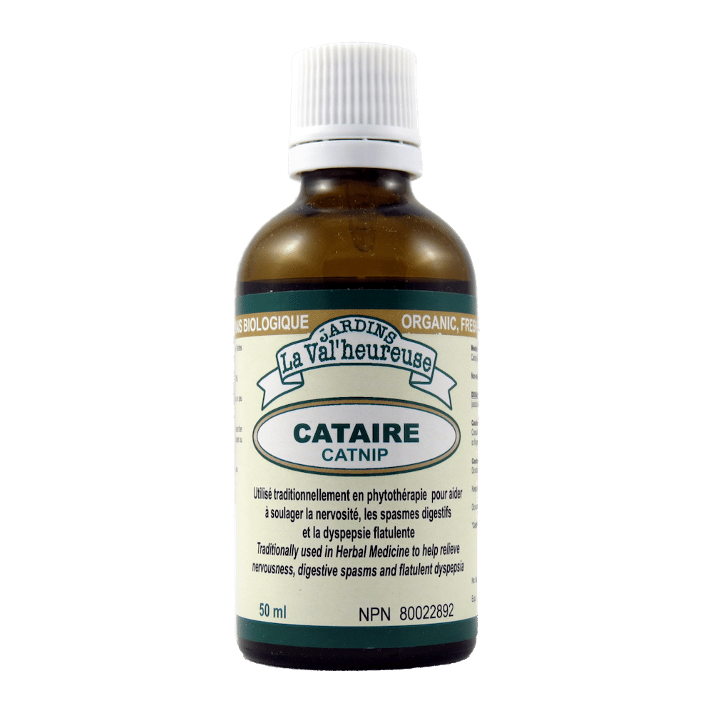 Cataire Image