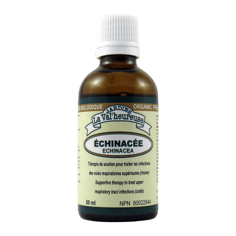 Échinacée Image