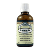 Échinacée image 1