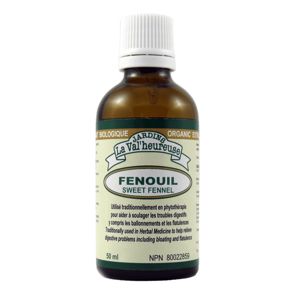 Fenouil Image