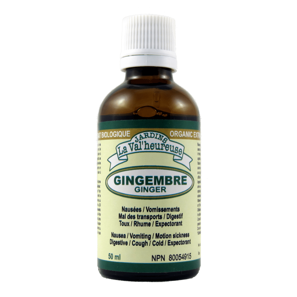 Gingembre Image