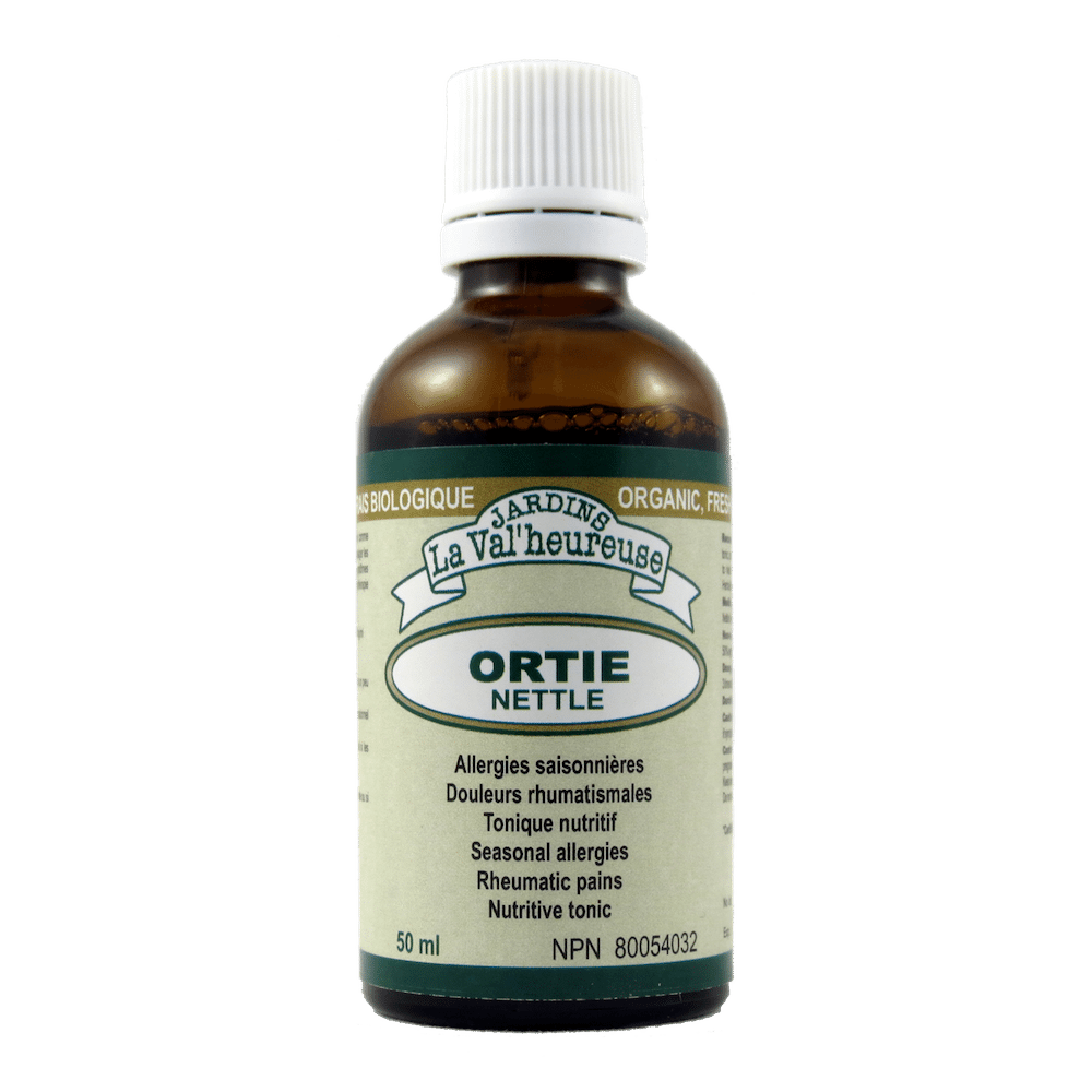 Ortie Image