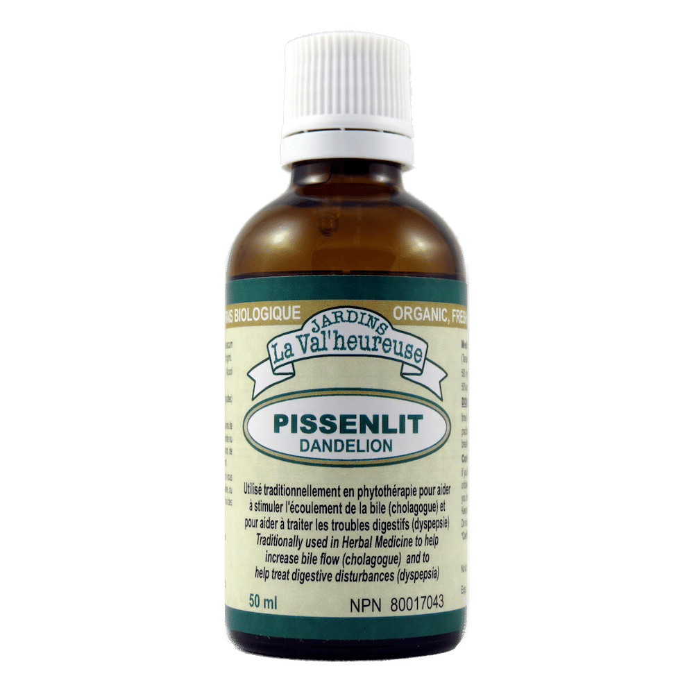 Pissenlit Image
