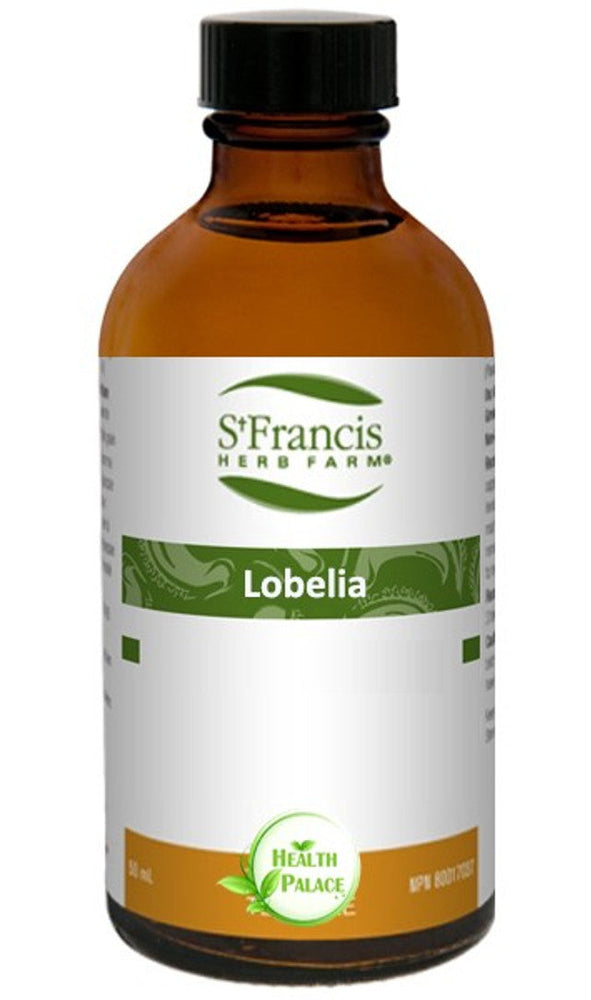 Lobélie Image
