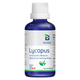Lycopus image 1