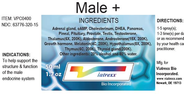 Male + Image