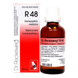 R48 image 1