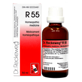 R55 image 1