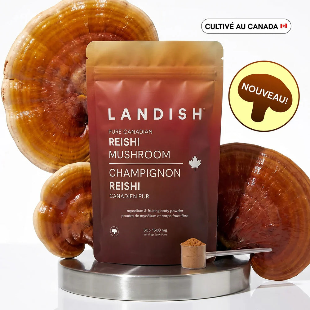 Reishi Image