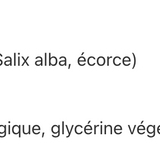 Saule blanc image 2