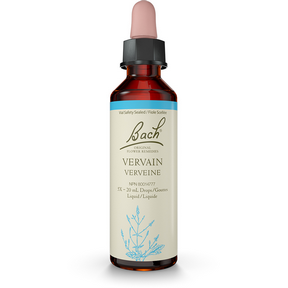 Vervain - Vervaine Image