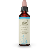 Vervain - Vervaine image 1