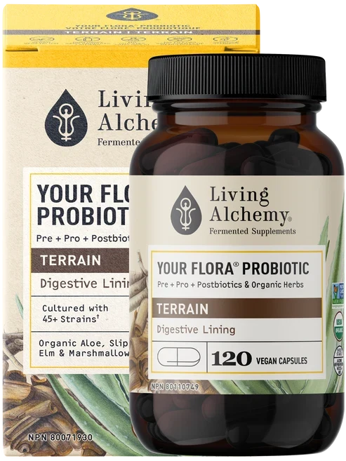 Votre Flore Probiotique Terrain Image
